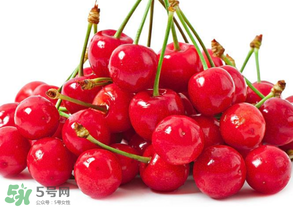 大樱桃种植前景分析,樱桃种植前景如何