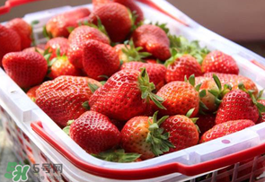 水果烂了可不可以吃教案,水果烂了可不可以吃