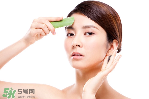 芦荟变黄了还能用吗,芦荟怎么变黄了