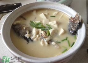 鲫鱼怎么挑选,鲫鱼怎么挑选有鱼子