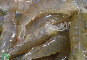 活虾灌胶水是真的吗,活虾被注胶后还能活吗