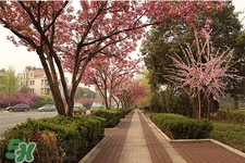 冬天去寒吃什么好,倒春寒好不好