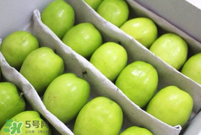 小孩吃青枣的好处和坏处,吃青枣的好处和坏处