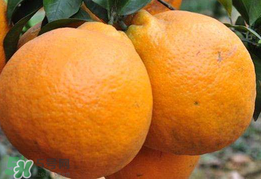 丑八怪什么时候上市,丑八怪几月份上市