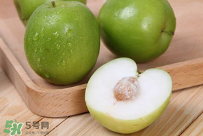 青枣的成熟期,青枣啥时候成熟