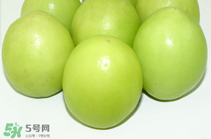 青枣如何挑选,青蜜枣怎么挑