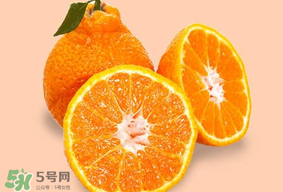 转基因的分类,转基因的定义