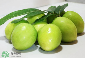 青枣品种,青枣的品种有哪些 青枣品种,青枣的品种有哪些