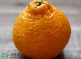 丑橘的特点和味道,丑橘的特点