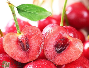 美早和大红灯的区别,樱桃美早和红灯的区别