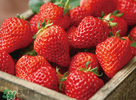 草莓空心能吃吗,草莓中心空的能吃吗