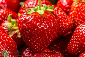 新鲜草莓如何存放更久,新鲜草莓怎么保存时间长