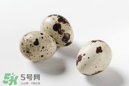 禽流感期间能吃鸡蛋吗,鹌鹑禽流感有何症状