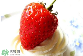 丹东奶油草莓的特点,奶油草莓的特点