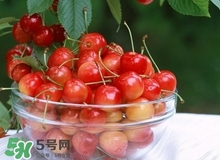 樱桃为什么这么贵,有什么特别的功效,樱桃为什么这么贵? 樱桃为什么这么贵,有什么特别的功效,樱桃为什么这么贵?