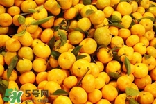 冰糖橘跟砂糖橘区别,砂糖橘和沙糖桔区别