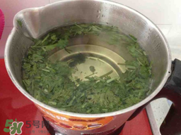 香菜煮水喝有什么效果,香菜煮水喝,有什么好处吗?谢谢!