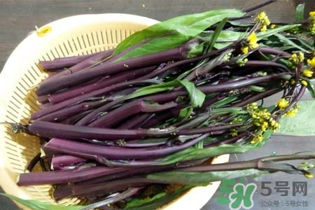 红菜苔热量高吗,红菜苔的热量