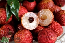 荔枝可以放冰箱吗,荔枝可以放冰箱吗的短视频