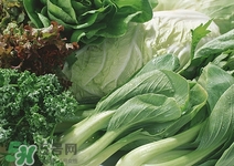 宝宝吃卷心菜的好处,婴儿吃卷心菜有什么好处