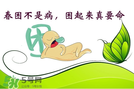 春天容易犯困是什么原因,总犯困吃什么食物好