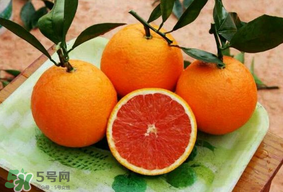 血橙的营养价值,血橙的功效和作用以及吃法