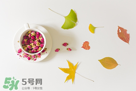 泡花茶用什么杯子最好,茉莉花茶用什么杯子泡 泡花茶用什么杯子最好,茉莉花茶用什么杯子泡