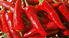 冬季吃辣椒好吗,冬季吃辣椒的好处