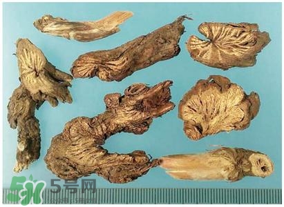 漏芦的作用,漏芦的功效和作用点