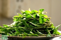 枸杞头的功效和作用百度百科,枸杞的作用和用途