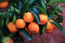 空腹吃水果有什么危害,哪些水果不能空腹吃,会有哪些危害