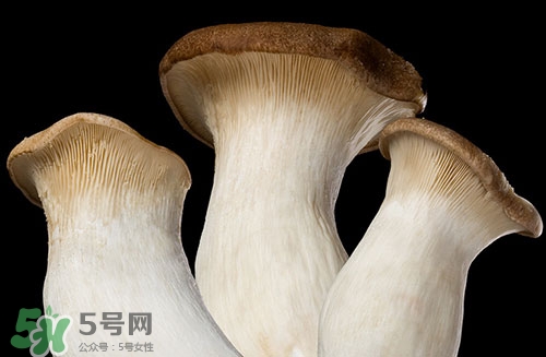 吃杏鲍菇的注意事项,吃杏鲍菇不能吃什么 吃杏鲍菇的注意事项,吃杏鲍菇不能吃什么