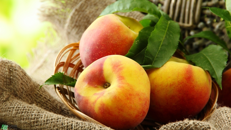 冬天苹果太凉怎么给宝宝吃,冬天宝宝吃苹果太凉怎么办