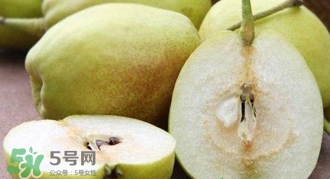 香梨的营养价值及功效和作用,玉露香梨的营养价值