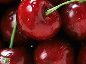 车厘子什么时候成熟上市,四川车厘子什么时候成熟