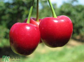 车厘子不能和什么一起吃?,车厘子不能和什么一起吃/同吃