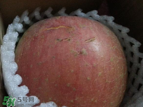 苹果裂纹是怎么回事呢,苹果有裂纹