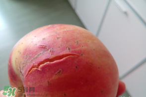 裂口苹果能吃吗,苹果裂口子能吃吗