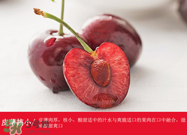 智利车厘子上市时间,喜茶多肉车厘子上市时间