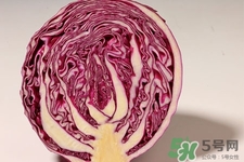 紫甘蓝和包菜哪个营养价值高,紫甘蓝和包菜的营养区别