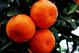 橘子发霉是什么原因,橘子上发霉的是不是霉菌 橘子发霉是什么原因,橘子上发霉的是不是霉菌