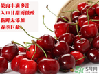 车厘子的上市时间,国内车厘子几月份上市