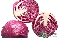 紫甘蓝是转基因蔬菜吗?,紫甘蓝是转基因食品吗