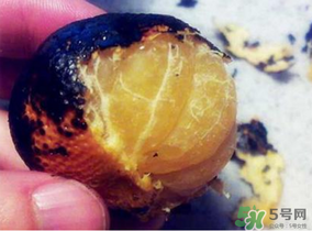 橘子烤着吃会上火吗,烤橘子吃了会不会上火