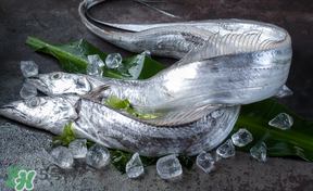 带鱼的家常做法简单又好吃,带鱼的家常做法窍门 带鱼的家常做法简单又好吃,带鱼的家常做法窍门