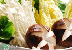 体内湿气重的表现有哪些症状,体内湿气重的表现有哪些