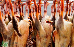 腊鹅的制作方法,腊鹅的做法大全家常