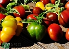 吃什么食物对卵巢有好处,吃什么食物对卵巢功能恢复比较好 吃什么食物对卵巢有好处,吃什么食物对卵巢功能恢复比较好