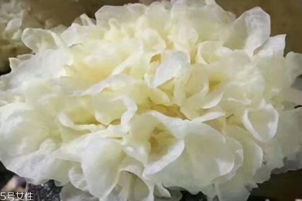 太空沙是什么(太空沙是什么材料做的) 太空沙是什么(太空沙是什么材料做的)