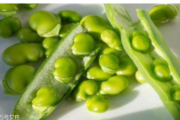 蚕豆多少钱一斤呢(蚕豆多少钱一公斤)